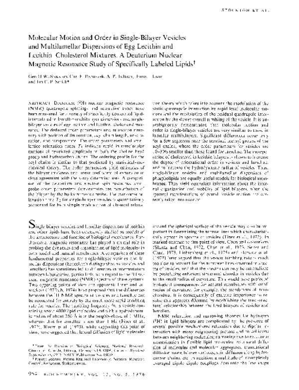 (PDF) Molecular motion and order in singlebilayer vesicles with