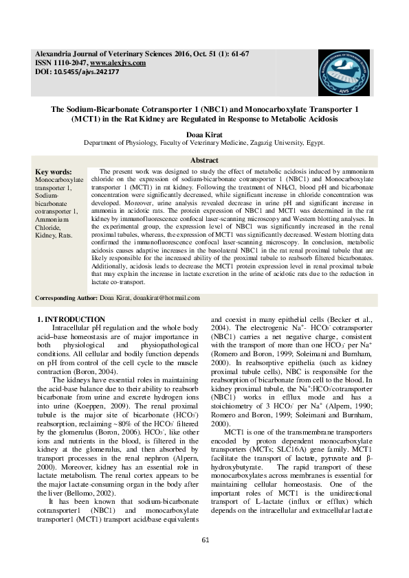 (PDF) The Sodium-Bicarbonate Cotransporter 1 (NBC1) and Monocarboxylate ...