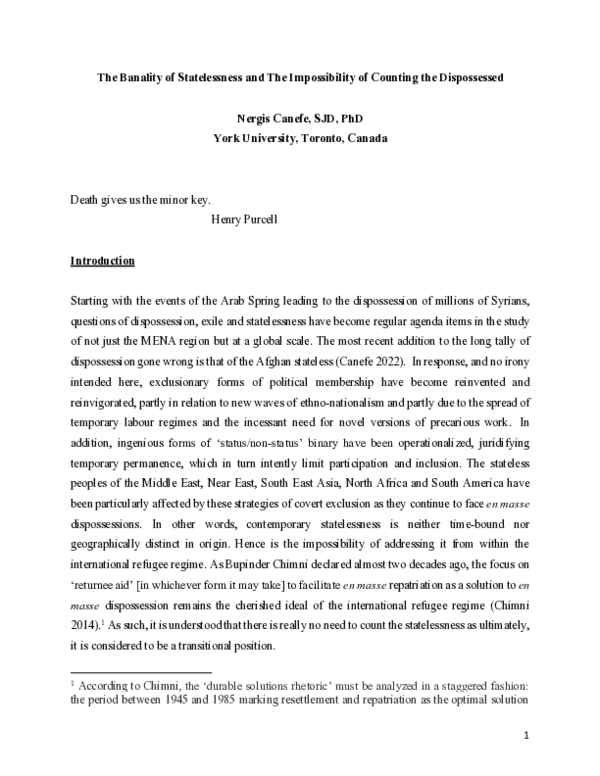 (PDF) The Banality of Statelessness and The Impossibility of Counting ...