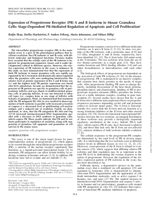 (PDF) Expression of Progesterone Receptor (PR) A and B Isoforms in ...