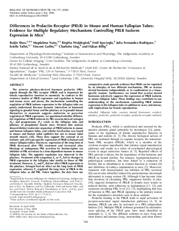 (PDF) Differences in Prolactin Receptor (PRLR) in Mouse and Human ...