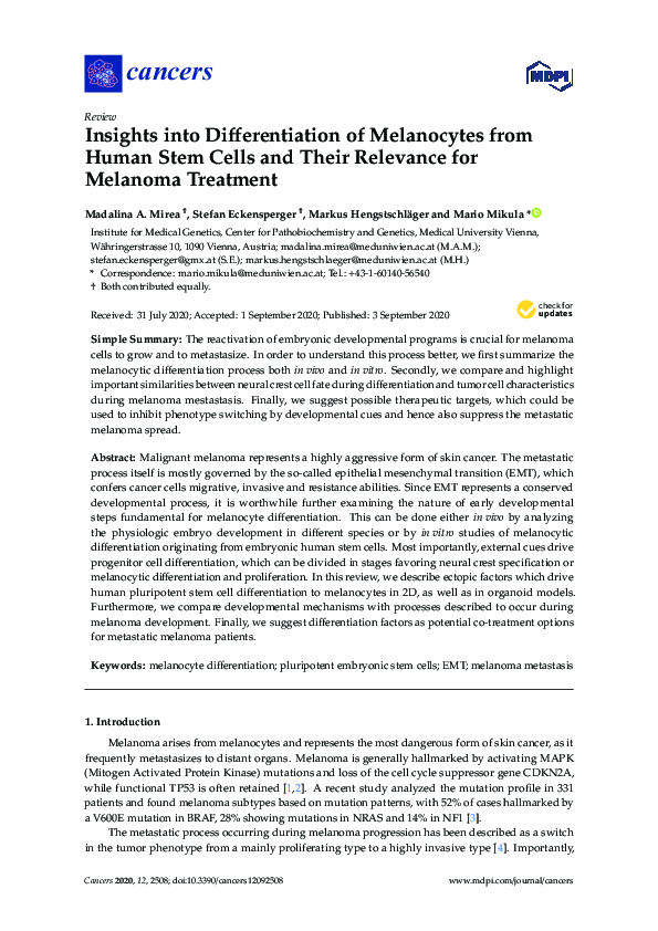 (PDF) Insights into Differentiation of Melanocytes from Human Stem ...