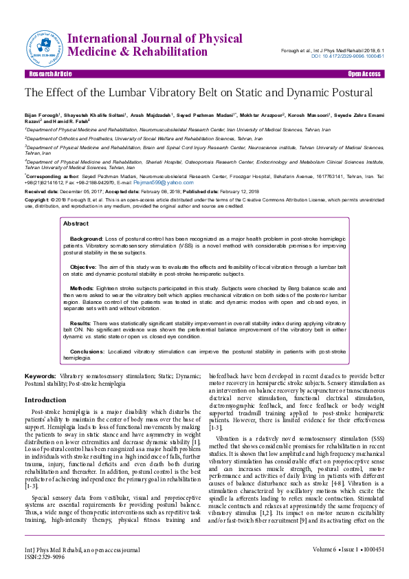 (PDF) The Effect of the Lumbar Vibratory Belt on Static and Dynamic ...