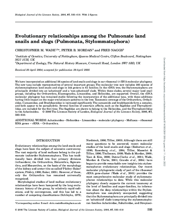 (PDF) Evolutionary relationships among the Pulmonate land snails and ...