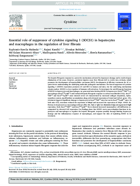 (PDF) Essential role of suppressor of cytokine signaling 1 (SOCS1) in ...