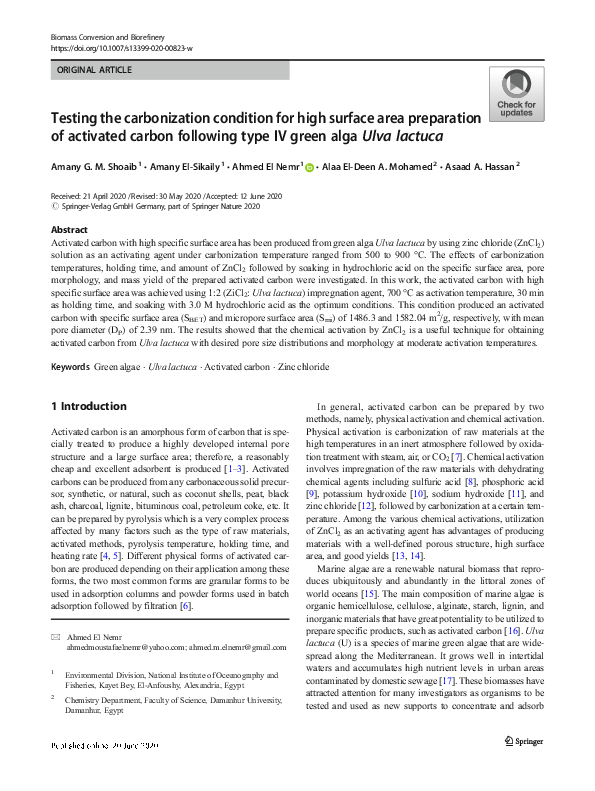 (PDF) Testing the carbonization condition for high surface area ...