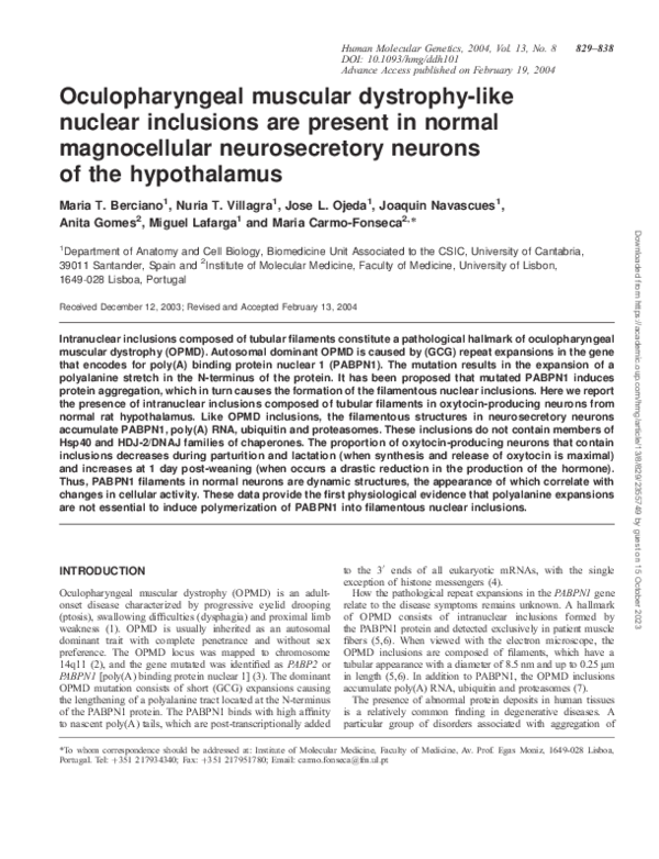 (PDF) Oculopharyngeal muscular dystrophy-like nuclear inclusions are ...