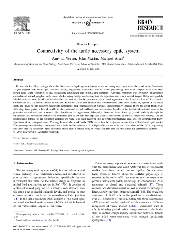 (PDF) Connectivity of the turtle accessory optic system Michael Ariel