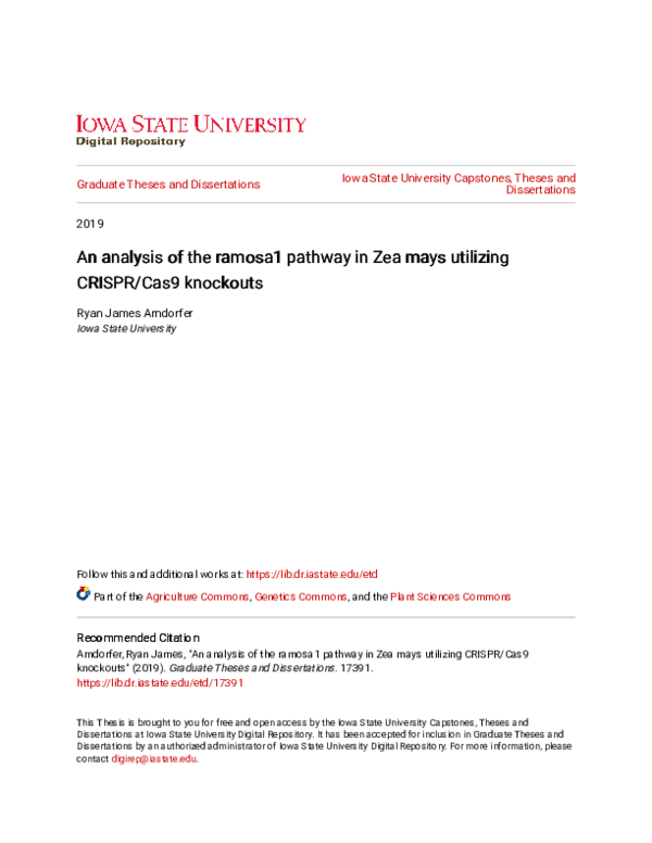 (PDF) An analysis of the ramosa1 pathway in Zea mays utilizing CRISPR ...