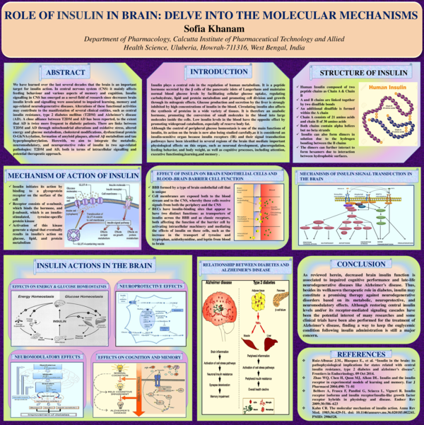 (PDF) Role of Insulin in Brain: Delve Into the Molecular Mechanisms