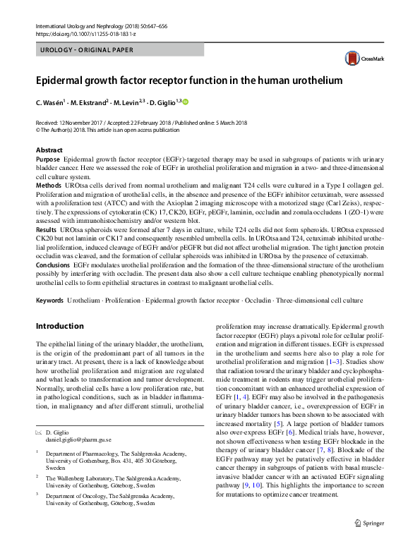 (PDF) Epidermal growth factor receptor function in the human urothelium