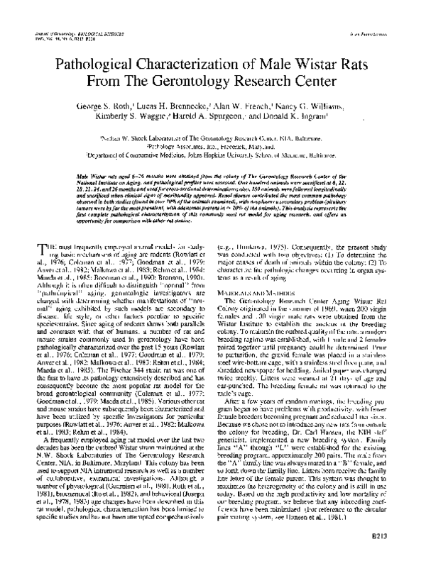 (PDF) Pathological Characterization of Male Wistar Rats From The ...
