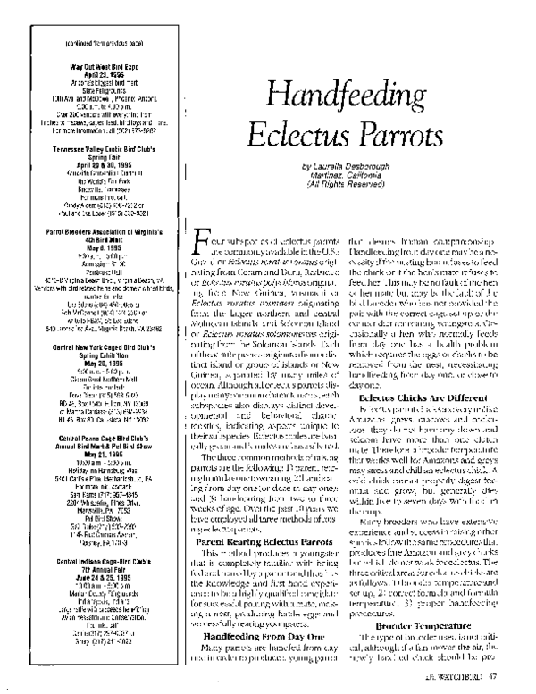 (PDF) Handfeeding Eclectus Parrots