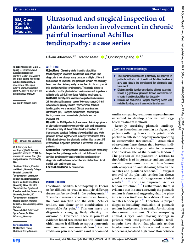 (PDF) Ultrasound and surgical inspection of plantaris tendon ...