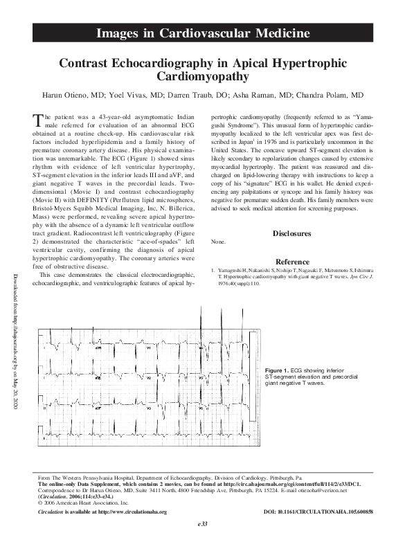 (PDF) Contrast Echocardiography in Apical Hypertrophic Cardiomyopathy