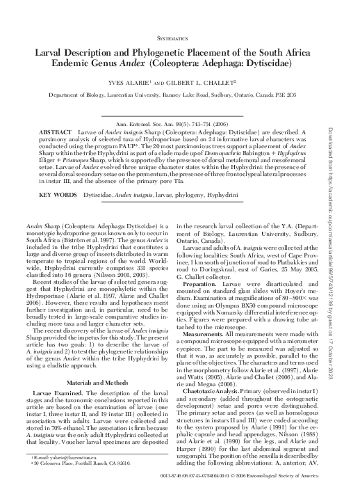 Larval Description and Phylogenetic Placement of the South Africa Endemic Genus <I>Andex</I> (Coleoptera: Adephaga: Dytiscidae)