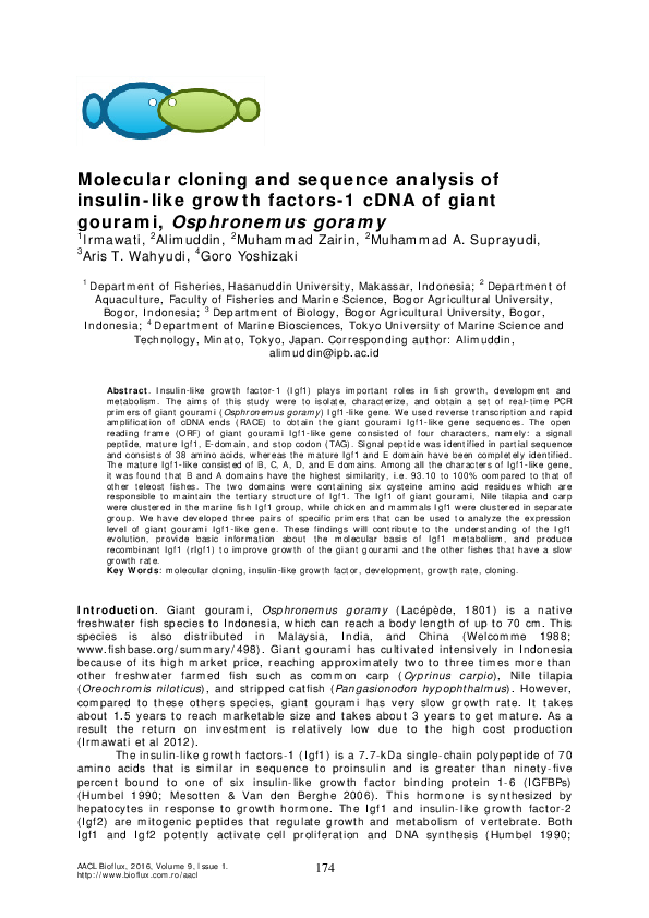 (PDF) Molecular cloning and sequence analysis of insulin-like growth ...