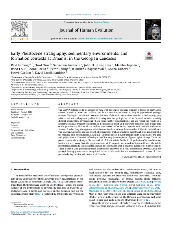 (PDF) Early Pleistocene stratigraphy, sedimentary environments, and ...
