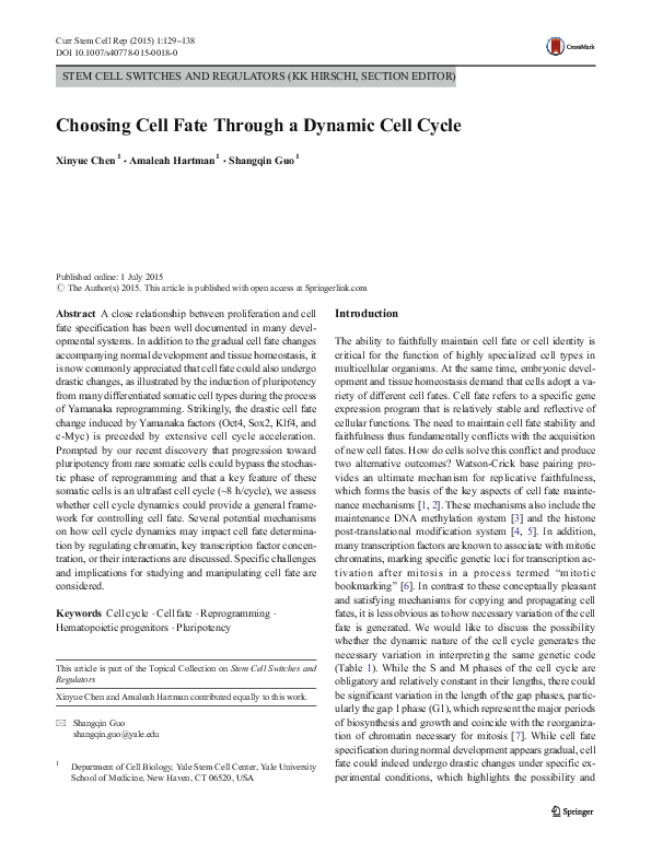 (PDF) Choosing Cell Fate Through a Dynamic Cell Cycle