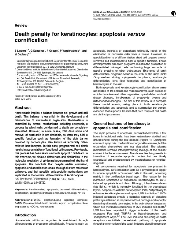 (PDF) Death penalty for keratinocytes: apoptosis versus cornification