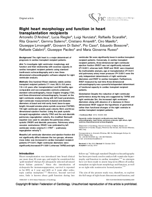 (PDF) Right heart morphology and function in heart transplantation ...