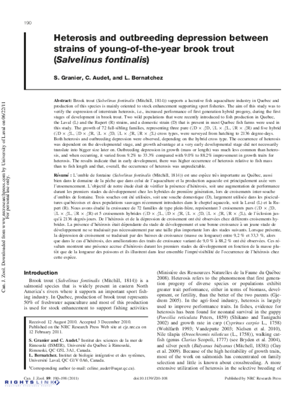 (PDF) Heterosis and outbreeding depression between strains of young-of ...