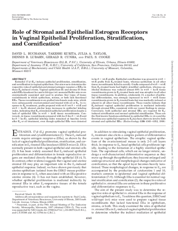 (PDF) Role of Stromal and Epithelial Estrogen Receptors in Vaginal ...