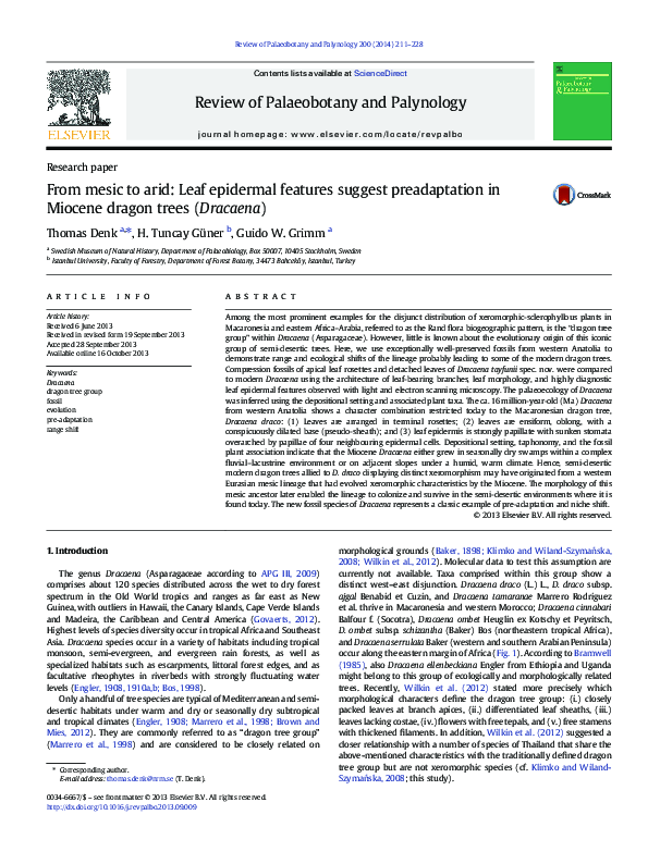 (PDF) Pre-adaptation in Miocene Dracaena: Evolution of Dragon Trees
