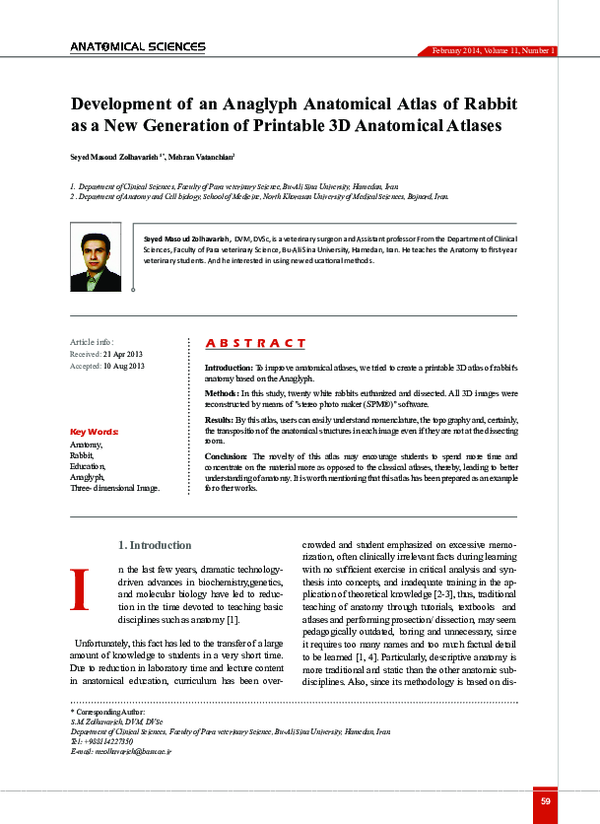 (PDF) Development of an Anaglyph Anatomical Atlas of Rabbit as a New ...