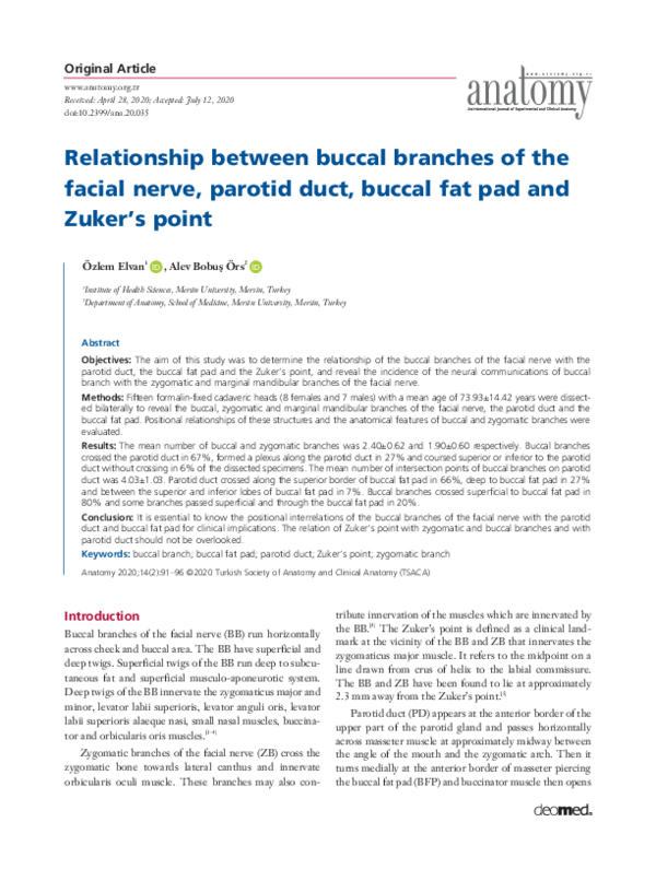 (PDF) Relationship between buccal branches of the facial nerve, parotid ...