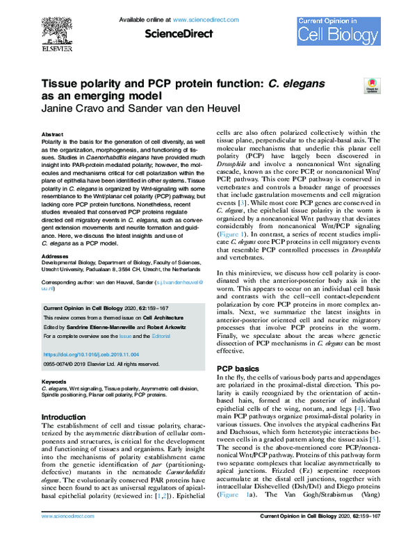 (PDF) Tissue polarity and PCP protein function: C. elegans as an ...