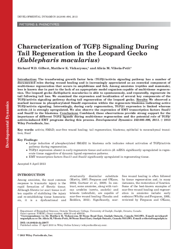 (PDF) Characterization of TGFβ signaling during tail regeneration in ...