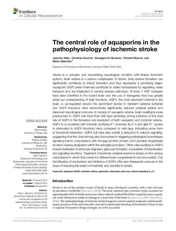 (PDF) The central role of aquaporins in the pathophysiology of ischemic ...