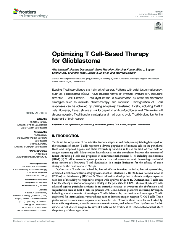 (PDF) Optimizing T Cell-Based Therapy for Glioblastoma