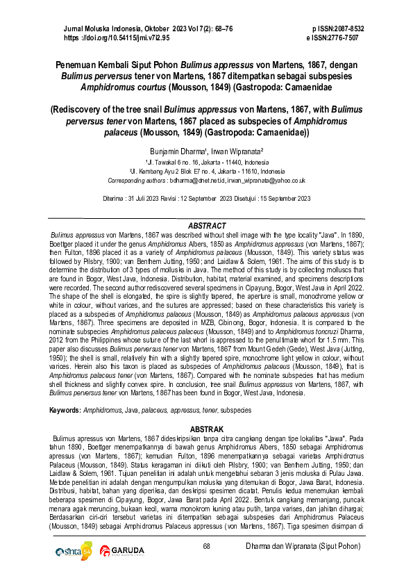 (PDF) Rediscovery of the tree snail Bulimus appressus von Martens, 1867 ...