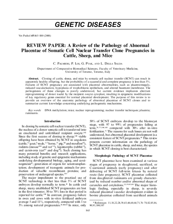 (PDF) Review Paper: A Review of the Pathology of Abnormal Placentae of ...