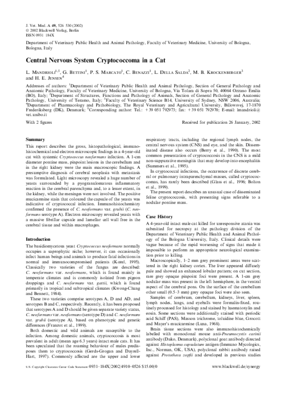 (PDF) Central Nervous System Cryptococcoma in a Cat | Leonardo Della ...
