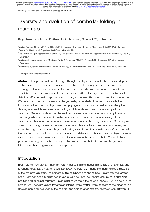 (PDF) Diversity and evolution of cerebellar folding in mammals