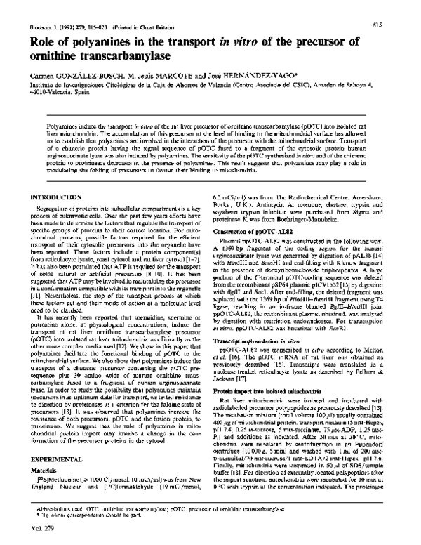 (PDF) Role of polyamines in the transport in vitro of the precursor of ...