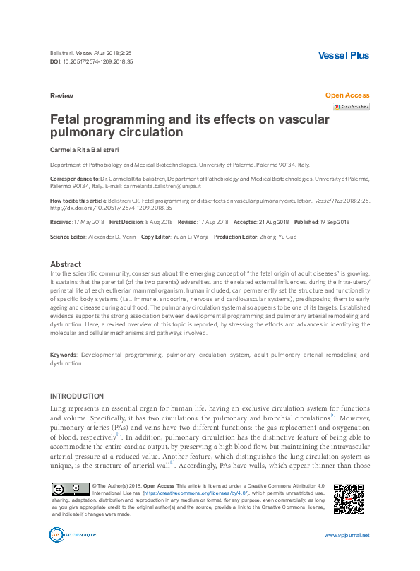 Fetal programming and its effects on vascular pulmonary circulation