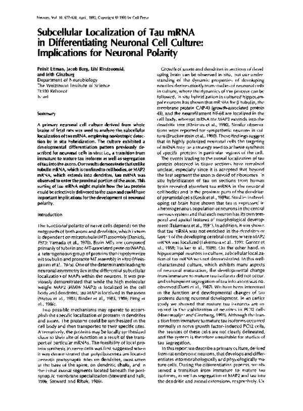 (PDF) Subcellular localization of tau mRNA in differentiating neuronal ...