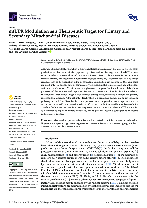 (PDF) mtUPR Modulation as a Therapeutic Target for Primary and ...