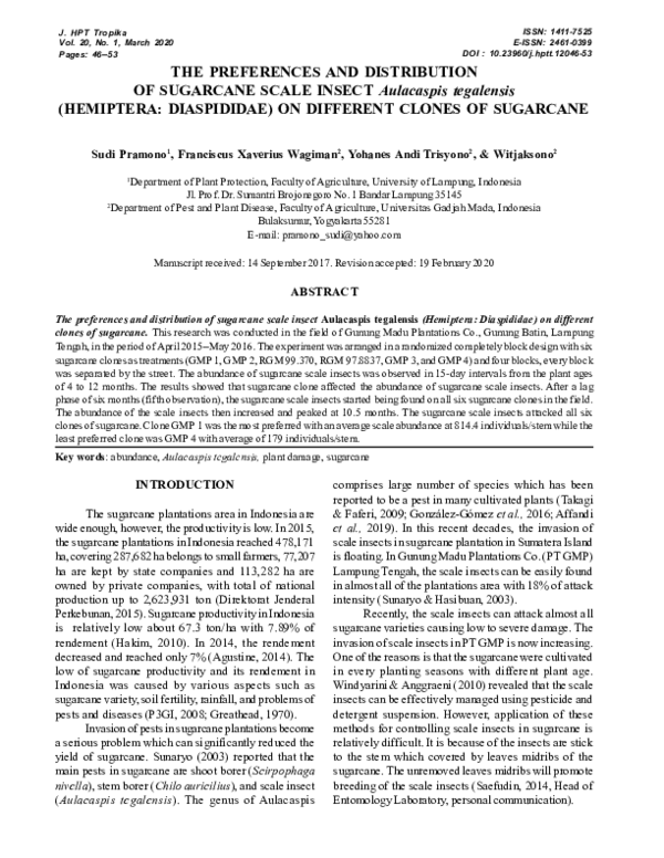 (PDF) THE PREFERENCES AND DISTRIBUTION OF SUGARCANE SCALE INSECT ...