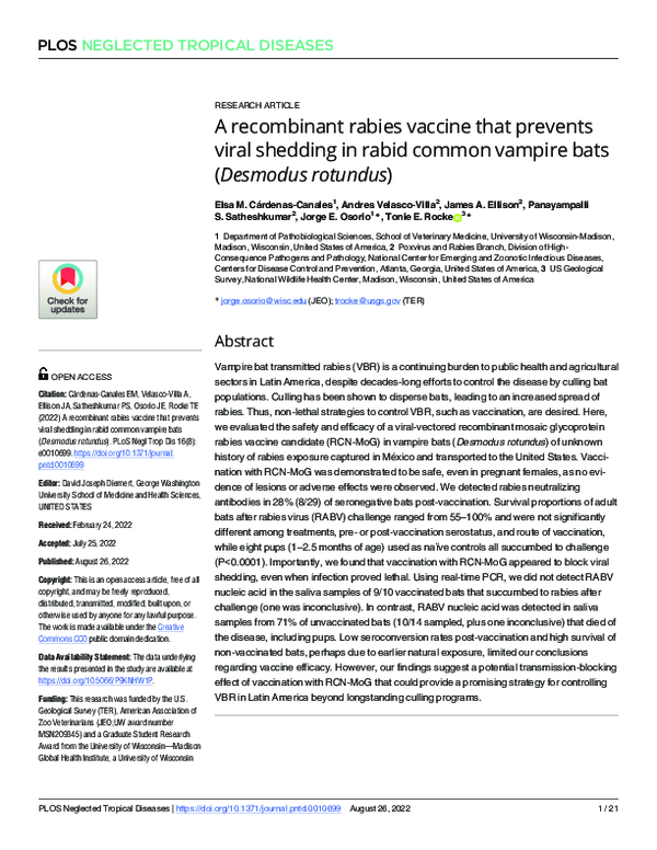 (PDF) A recombinant rabies vaccine that prevents viral shedding in ...