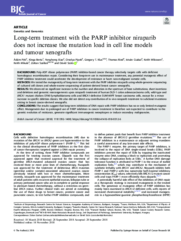 (PDF) Long-term treatment with the PARP inhibitor niraparib does not ...