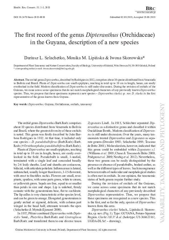(PDF) The first record of the genus Dipteranthus (Orchidaceae) in the ...