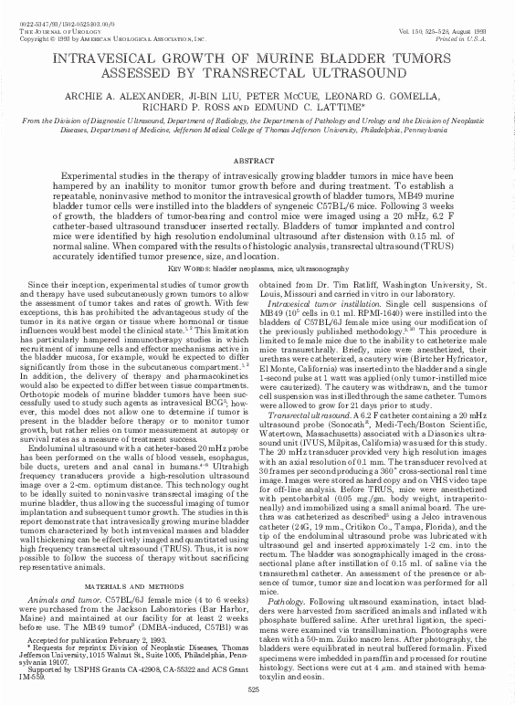 (PDF) Intravesical Growth of Murine Bladder Tumors Assessed by ...