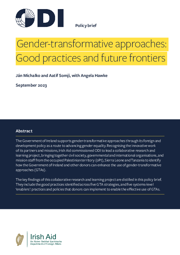 (PDF) Gender-transformative approaches: Good practices and future frontiers
