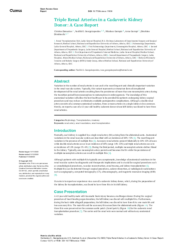 (PDF) Triple Renal Arteries in a Cadaveric Kidney Donor: A Case Report