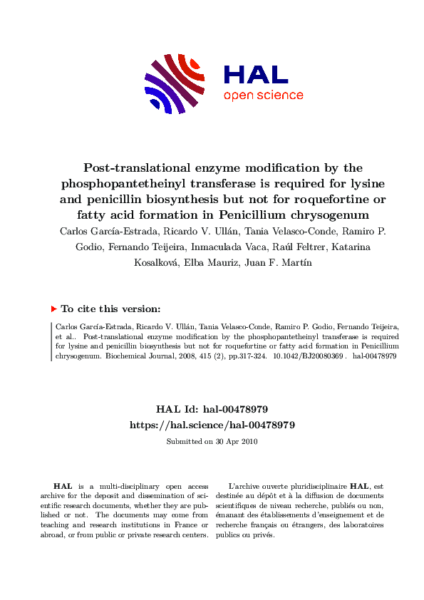 Post-translational enzyme modification by the phosphopantetheinyl transferase is required for lysine and penicillin biosynthesis but not for roquefortine or fatty acid formation in <i>Penicillium chrysogenum</i>